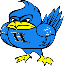 Bluebird logo